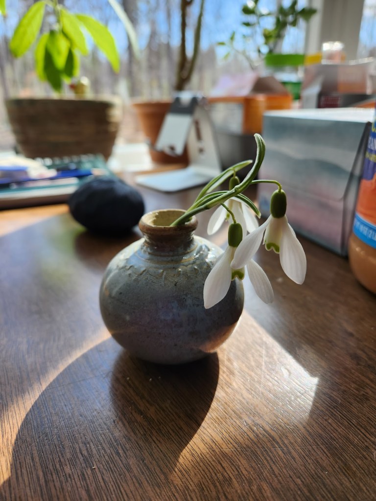 Snowdrops in a vase on a sunny kitchen table