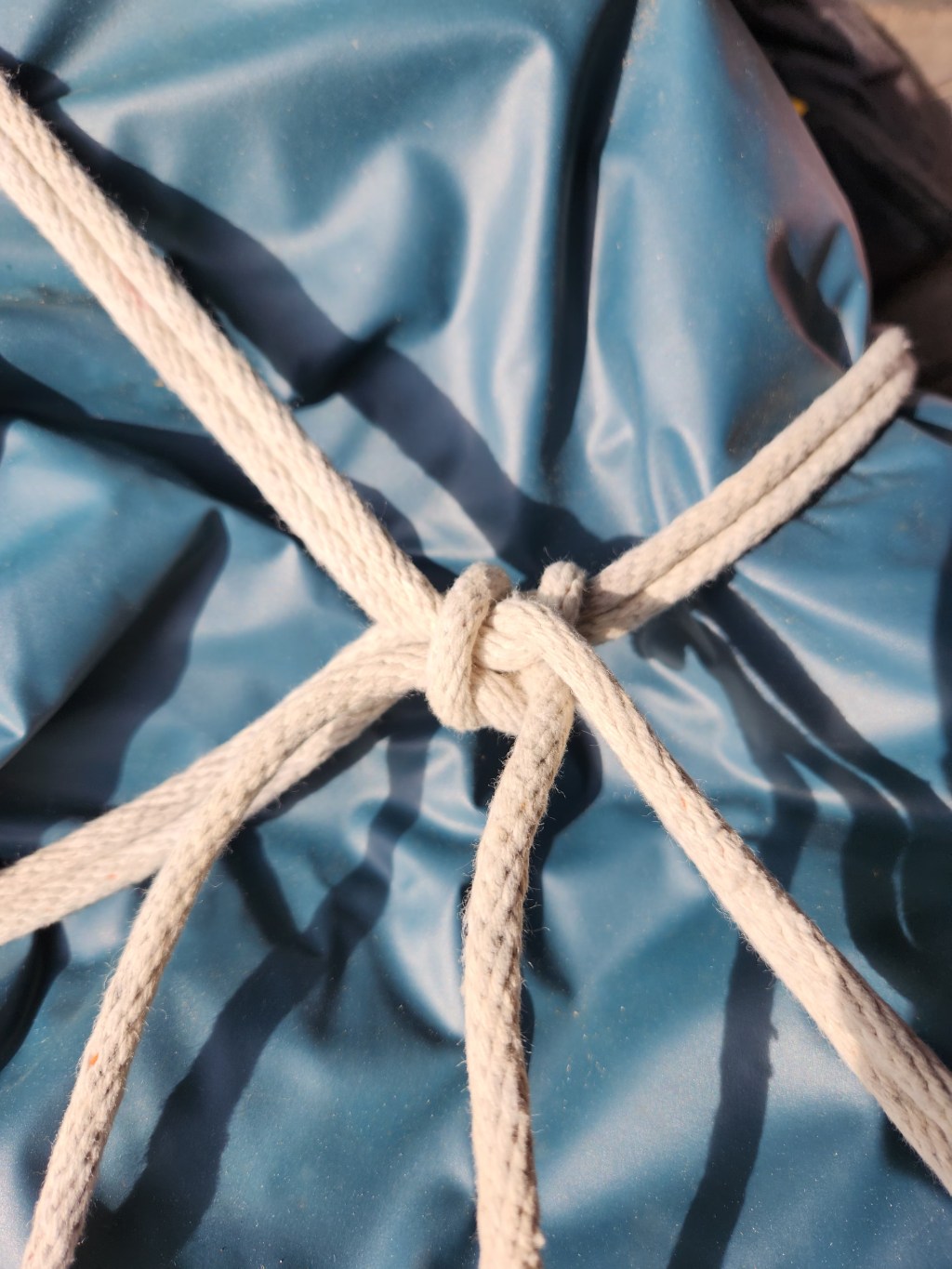 Knots